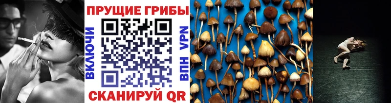 Галлюциногенные грибы прущие грибы  нарко площадка Telegram  Биробиджан 